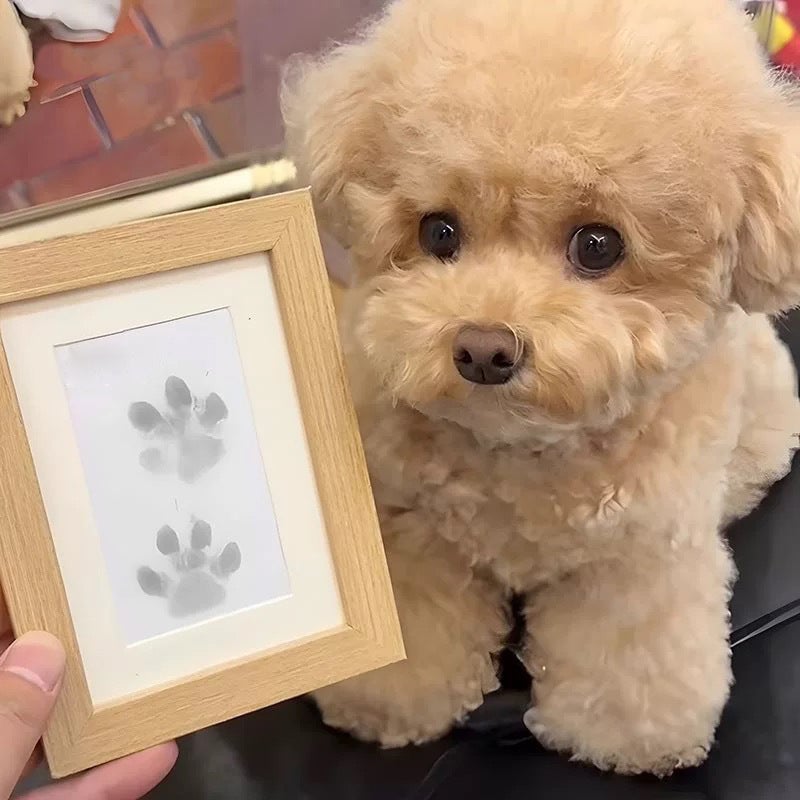 🐾Pet Paw Printing Kit