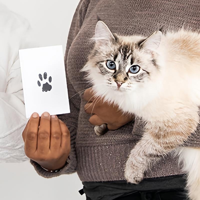 🐾Pet Paw Printing Kit